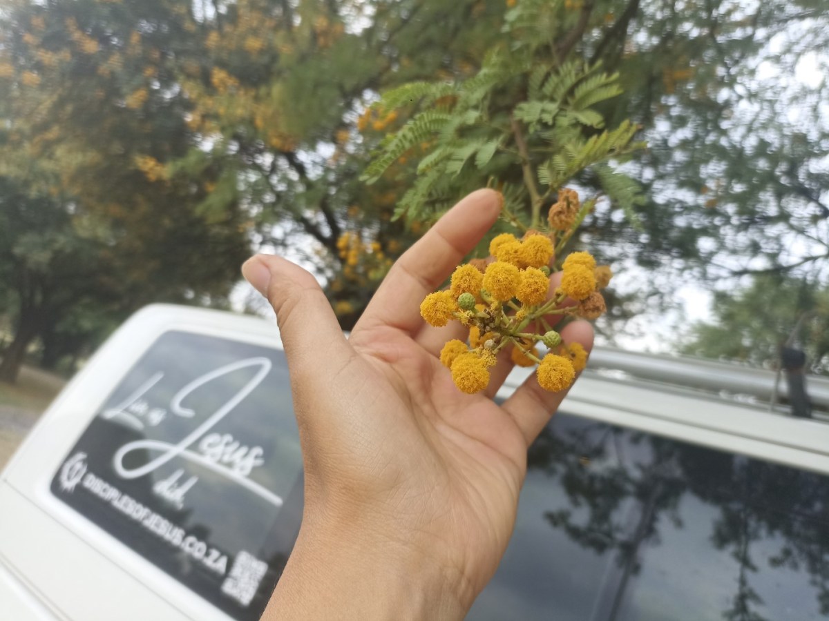 December 2023 Update