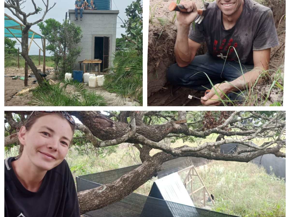 Cronje family update – Clearing&nbsp;weeds