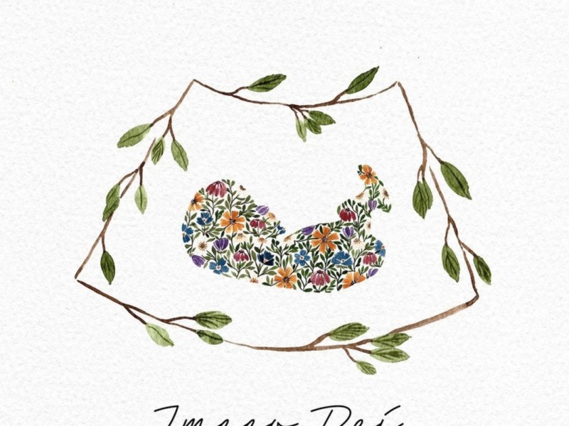 De Beer update – God is doing something&nbsp;new.